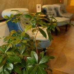 Гостиница Серебряный Шар Санкт-Петербург-77